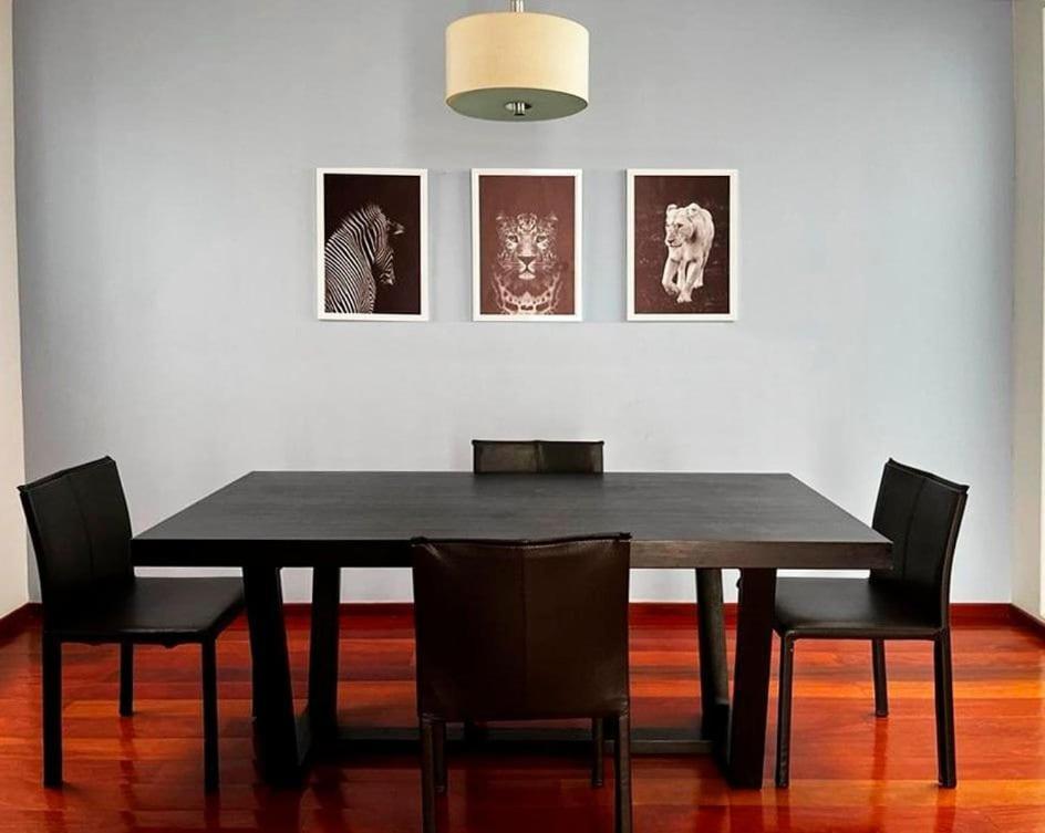 Condesa Residence Amsterdam D Sunny 2Bed 1Bath Apt In Condesa 멕시코 시 외부 사진